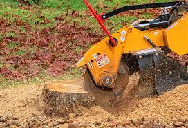 Best Mulching Services  in Cabool, MO